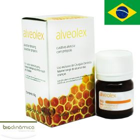 Biodinamica Alveolex Dry Socket Paste