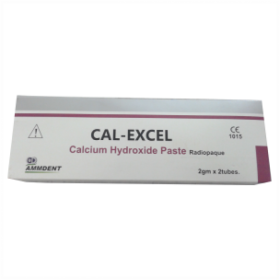 Ammdent Cal Excel Calcium Hydroxide Paste
